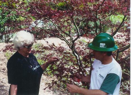 Arborist explaining tree health to a customer in Carmel IN
